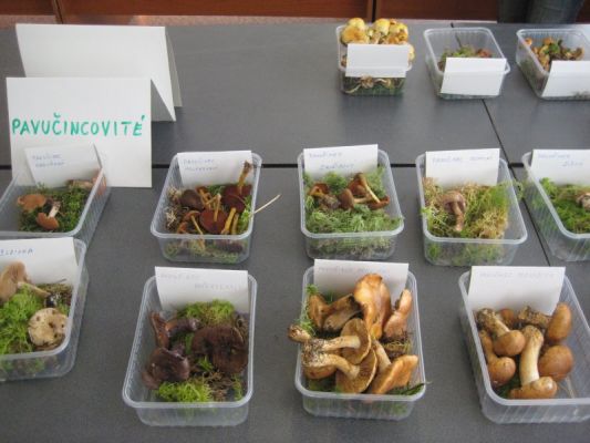 Klikněte pro zobrazení původního (velkého) obrázku