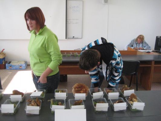 Klikněte pro zobrazení původního (velkého) obrázku