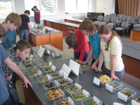 Klikněte pro zobrazení původního (velkého) obrázku