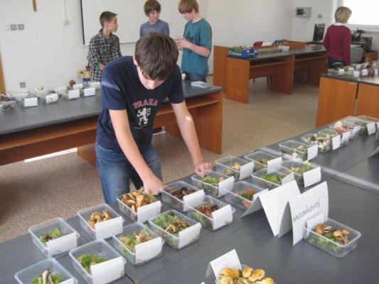 Klikněte pro zobrazení původního (velkého) obrázku