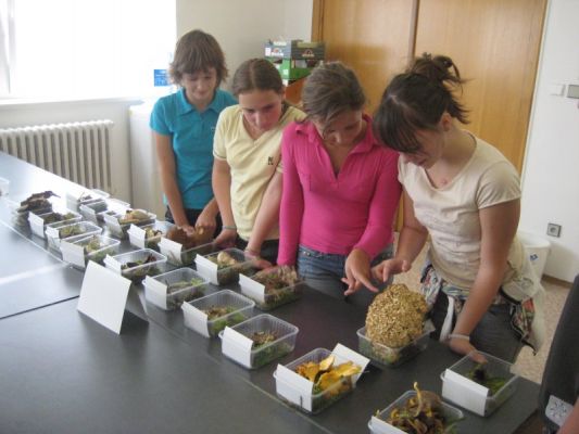 Klikněte pro zobrazení původního (velkého) obrázku