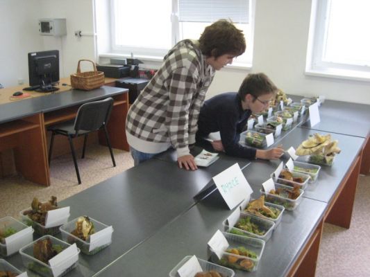 Klikněte pro zobrazení původního (velkého) obrázku