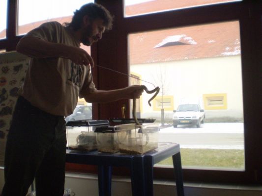 Klikněte pro zobrazení původního (velkého) obrázku