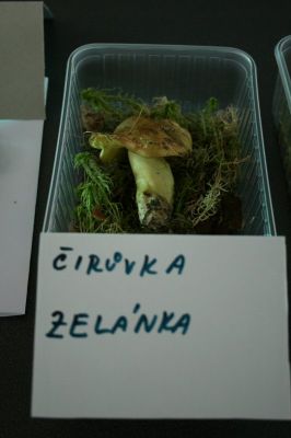 Klikněte pro zobrazení původního (velkého) obrázku