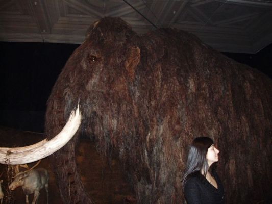 Klikněte pro zobrazení původního (velkého) obrázku