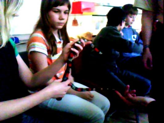 Klikněte pro zobrazení původního (velkého) obrázku