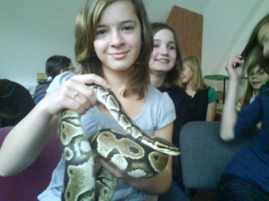 Klikněte pro zobrazení původního (velkého) obrázku