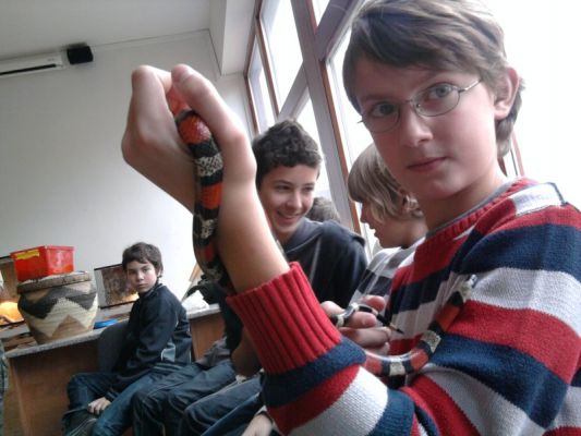 Klikněte pro zobrazení původního (velkého) obrázku