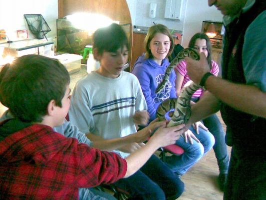 Klikněte pro zobrazení původního (velkého) obrázku