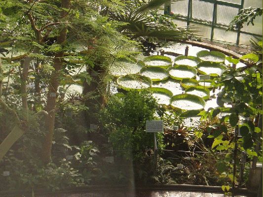 Klikněte pro zobrazení původního (velkého) obrázku