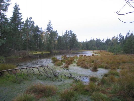 Klikněte pro zobrazení původního (velkého) obrázku