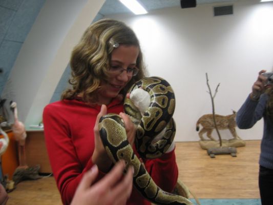 Klikněte pro zobrazení původního (velkého) obrázku