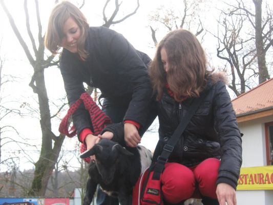 Klikněte pro zobrazení původního (velkého) obrázku