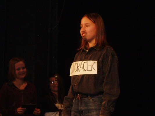 Klikněte pro zobrazení původního (velkého) obrázku