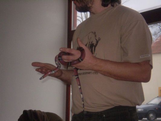 Klikněte pro zobrazení původního (velkého) obrázku