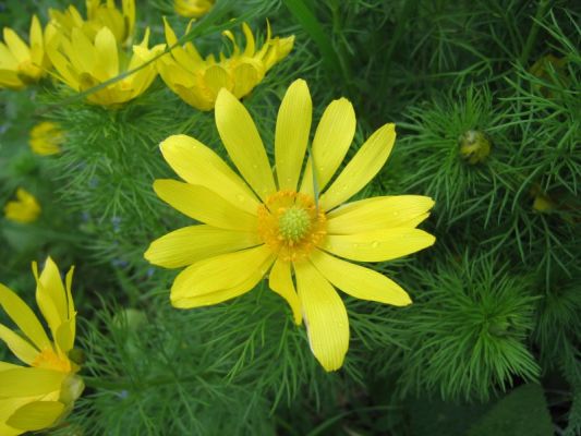 Klikněte pro zobrazení původního (velkého) obrázku