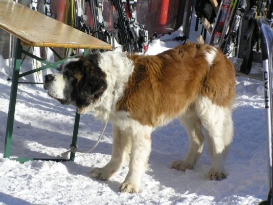 Klikněte pro zobrazení původního (velkého) obrázku