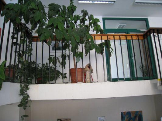 Klikněte pro zobrazení původního (velkého) obrázku