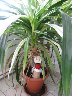 Klikněte pro zobrazení původního (velkého) obrázku