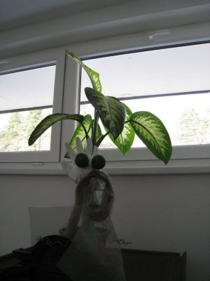 Klikněte pro zobrazení původního (velkého) obrázku