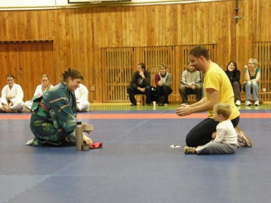 Klikněte pro zobrazení původního (velkého) obrázku