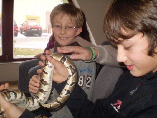 Klikněte pro zobrazení původního (velkého) obrázku