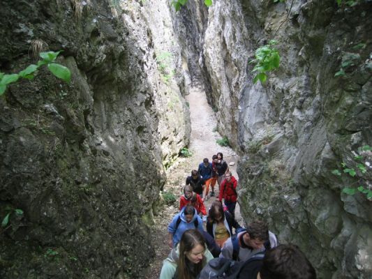 Klikněte pro zobrazení původního (velkého) obrázku