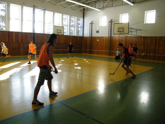 Klikněte pro zobrazení původního (velkého) obrázku