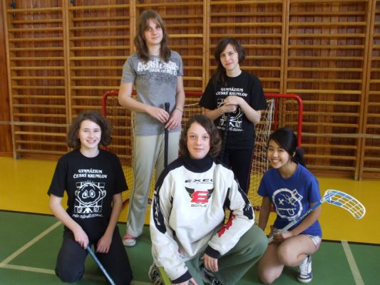 Klikněte pro zobrazení původního (velkého) obrázku