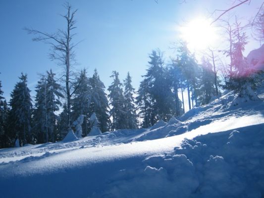 Klikněte pro zobrazení původního (velkého) obrázku