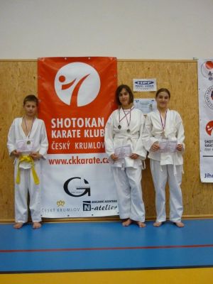 Klikněte pro zobrazení původního (velkého) obrázku