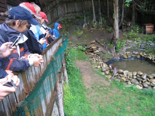 Klikněte pro zobrazení původního (velkého) obrázku