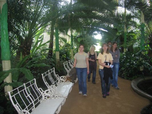 Klikněte pro zobrazení původního (velkého) obrázku