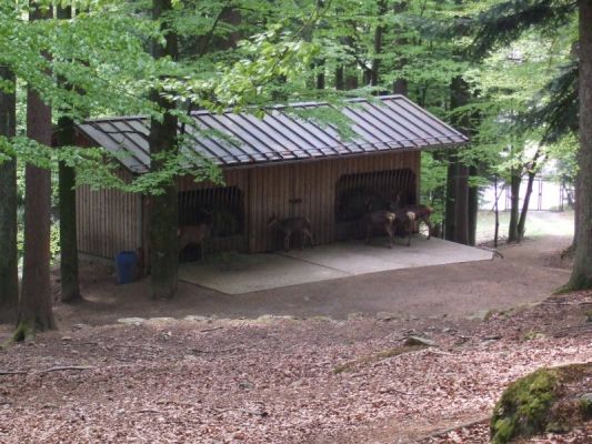 Klikněte pro zobrazení původního (velkého) obrázku