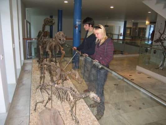 Klikněte pro zobrazení původního (velkého) obrázku