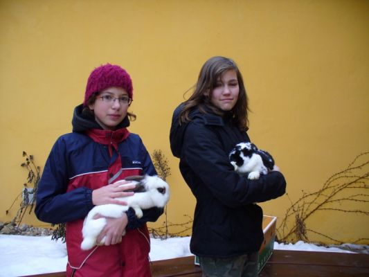 Klikněte pro zobrazení původního (velkého) obrázku