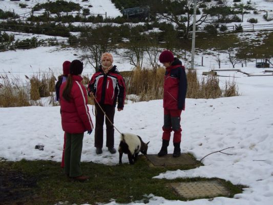 Klikněte pro zobrazení původního (velkého) obrázku