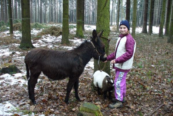 Klikněte pro zobrazení původního (velkého) obrázku