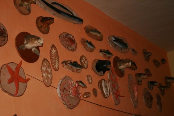 Klikněte pro zobrazení původního (velkého) obrázku