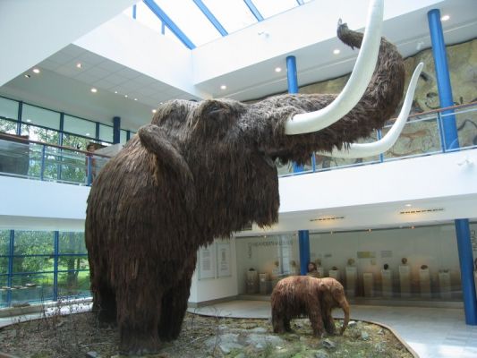 Klikněte pro zobrazení původního (velkého) obrázku