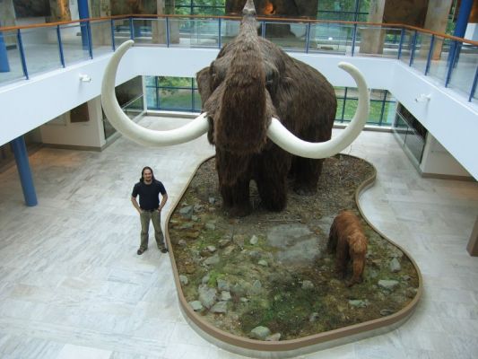 Klikněte pro zobrazení původního (velkého) obrázku