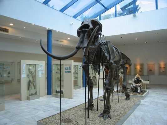 Klikněte pro zobrazení původního (velkého) obrázku