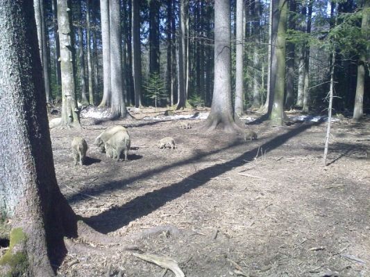 Klikněte pro zobrazení původního (velkého) obrázku