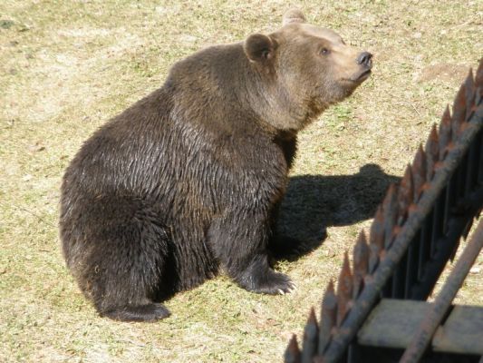 Klikněte pro zobrazení původního (velkého) obrázku