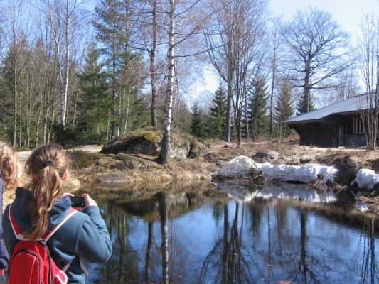 Klikněte pro zobrazení původního (velkého) obrázku