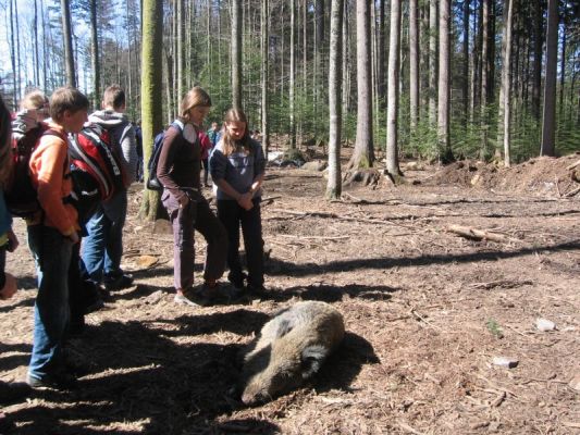 Klikněte pro zobrazení původního (velkého) obrázku