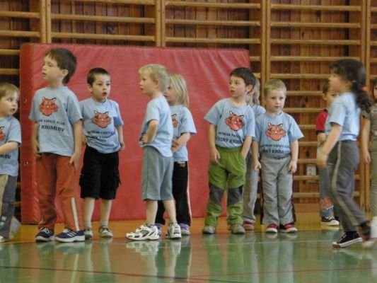 Klikněte pro zobrazení původního (velkého) obrázku