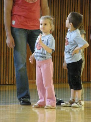 Klikněte pro zobrazení původního (velkého) obrázku