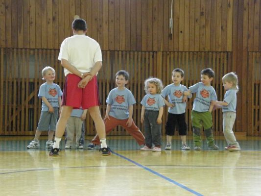 Klikněte pro zobrazení původního (velkého) obrázku
