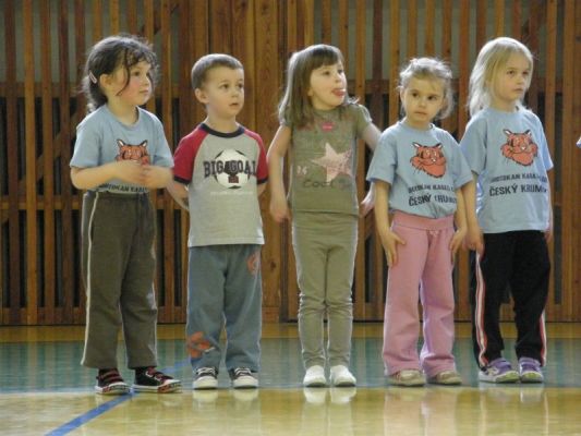 Klikněte pro zobrazení původního (velkého) obrázku